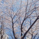 개금3동-38 이미지