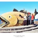 섬이야기올레