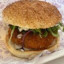 네임드케이2024 이미지