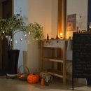 바바호미 이미지