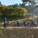 세포삼거리 이미지