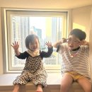 워싱턴모텔 | 도쿄 워싱턴호텔,하얏트 호텔 비교 내돈내산 어른넷에 아기넷 헬여행