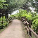 연암공원 이미지