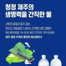 제주 기행 2탄 _꿈에 보았던 길 이미지