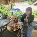 예술대학로4길1R | 안산 대형견 동반 가능 카페 ┃ 무해한 커피바 후기