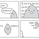 조이토마토 이미지