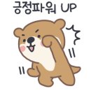 용인대본투더복싱 이미지