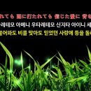 간빠이 - 구리시 검배로6번길 13 | 간빠이