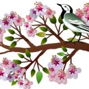 팔덕면 창덕로 전북 네이버블로그