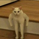 마시타 이미지