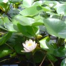 원식농장 이미지