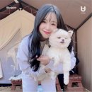 Dog 앤 Story 이미지