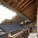 솔방민박 이미지