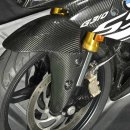 BMW G310 SS (에이테크 블랙다이아몬드 컨셉 버젼) 이미지