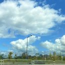 보람동_세종시청 후문 이미지