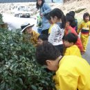 숲속나라 이미지