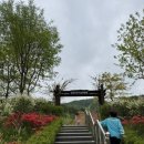 별천지칼국수 네이버블로그