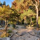 노천상회