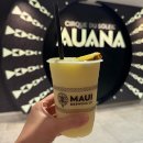 태양처럼 | 🌴하와이 공연 추천 - ‘태양의 서커스 아우아나 Auana’ 후기🎪