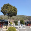문숙영당 Daum카페