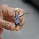 냉천골 할매집 이미지