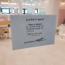 금손마법사