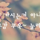 세린아고라