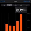 토리분식 | 토리 주으러 쬬르르