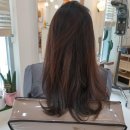 노벨리아 헤어 이미지