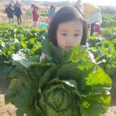 서하농장 이미지