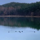 헤라드라이빙무인텔 - 20920 | 헤라드라이빙무인텔