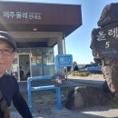 퀸크루즈2 이미지