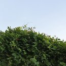 장성병원 중앙 이미지