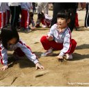새샘초등학교 병설유치원 이미지