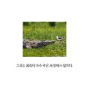 다섯시삼십분 이미지