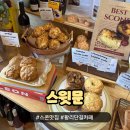 달달sweetmoon | 경주 황리단길 카페 스윗문 스콘맛집 솔직 후기