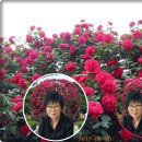 동창생식당 이미지