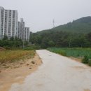 참사랑마트 이미지