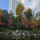 야외정원 스케치 | 🏙️ [오사카] 우메다 공중정원 주유패스로 무료 입장! 시티뷰와 낮 시간대 팁