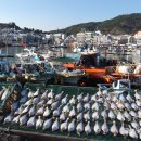 중앙시장남쪽 이미지