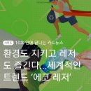 매일레져