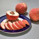 그린레시피 이미지