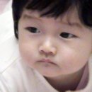 은서유치원 Daum카페