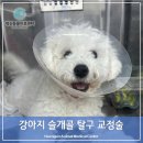 행신동물의료센터 이미지
