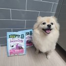 나투어리베 이미지