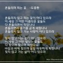 흔들리며 피는 꽃 이미지