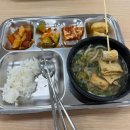 군산60계치킨나운미룡점 | 2025년 12월 모음집 2편 : 정강이 조낸 아픔🥹