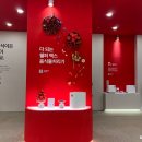 스마트토탈키친 | [2026 서울리빙디자인페어] 후기 안 보면 손해인 올해 리빙 아이템 일광전구 헤이 쉘퍼 코웨이 비렉스
