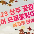 11월 21일 출똑해요~~ 이미지