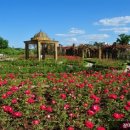 한밭수목원1 이미지